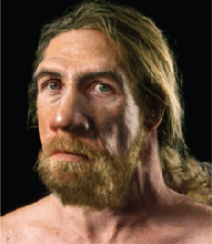 Redhead Neandertal