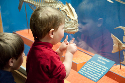 Preston at the Natural History Museum