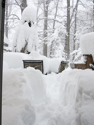 Snow Storm 2-2010