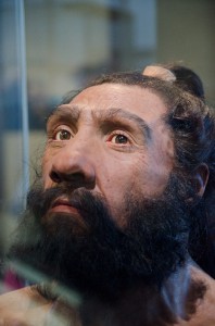 Homo neanderthalensis in Hall of Human Origins at Natural History Museum