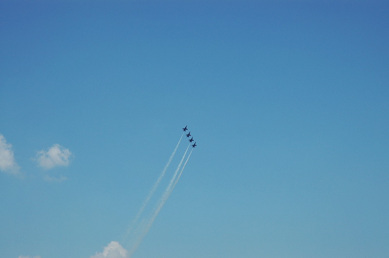 dsc_0180.jpg