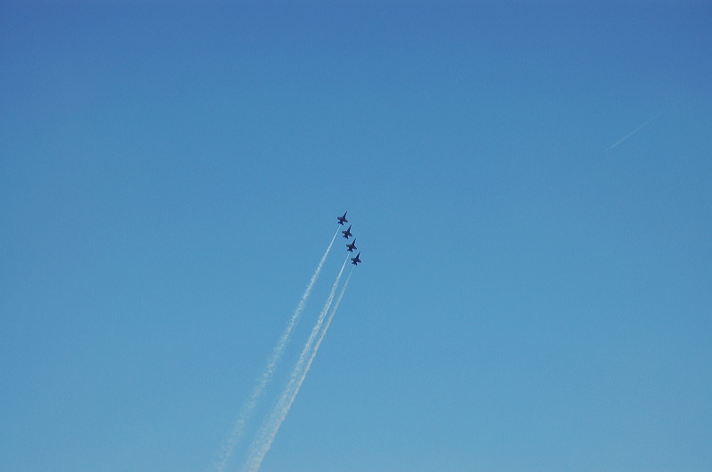 dsc_0181.jpg