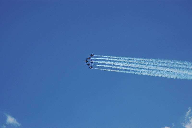 dsc_0224.jpg
