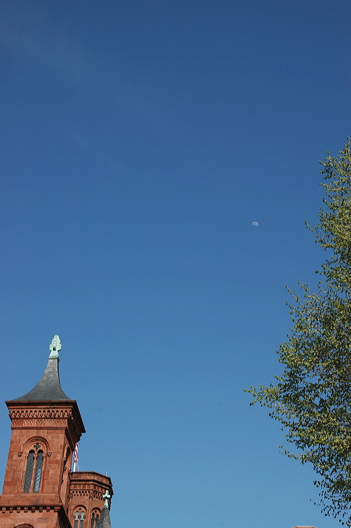 dsc_1684.jpg