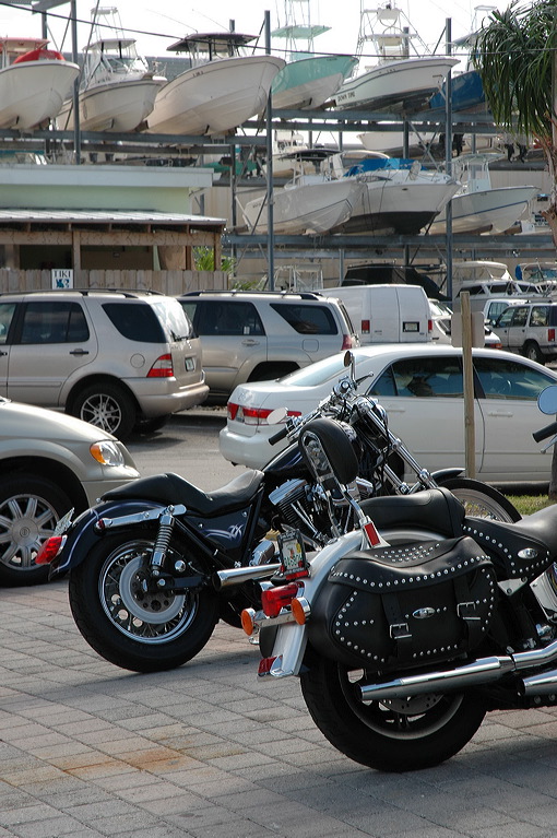dsc_4500.jpg
