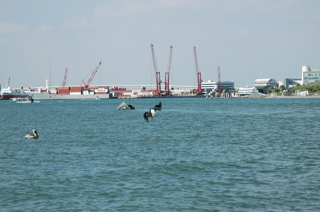 dsc_4578.jpg