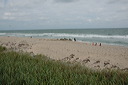dsc_4465