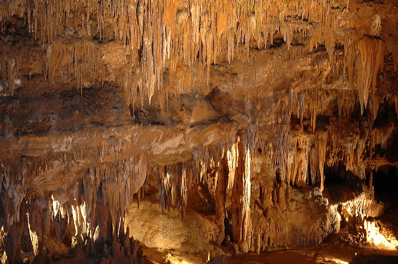 dsc_0517.jpg