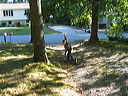 digging_out_the_rocks