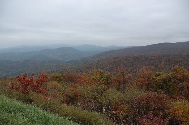 dsc_0640.jpg