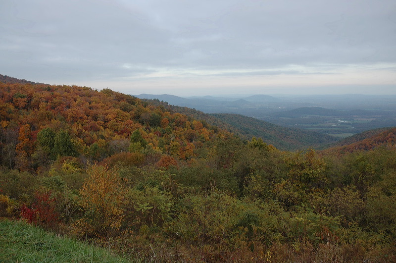 dsc_0646.jpg
