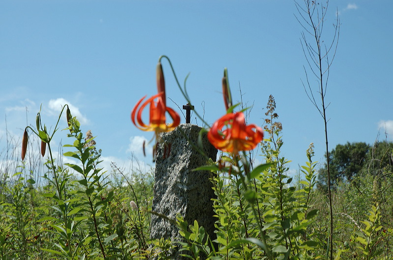 dsc_1012.jpg