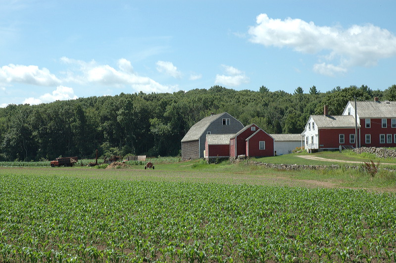 dsc_1015.jpg