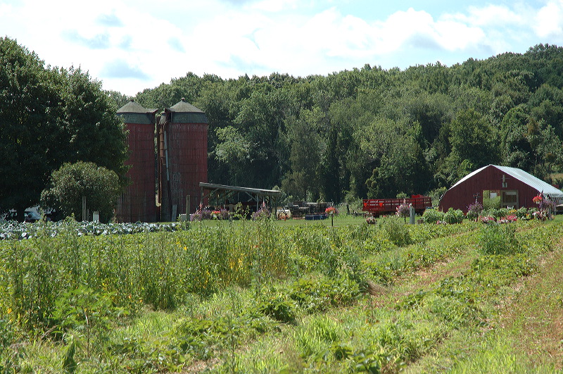 dsc_1016.jpg