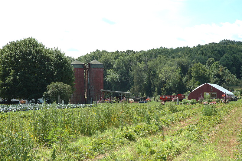 dsc_1017.jpg