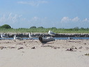 img_0238