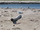 img_0240