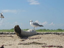 img_0243
