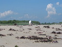 img_0250