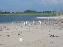 img_0252