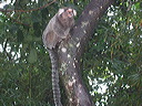img_0110