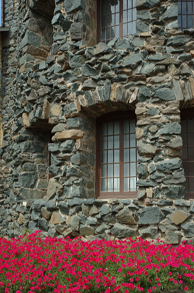 dsc_1302.jpg