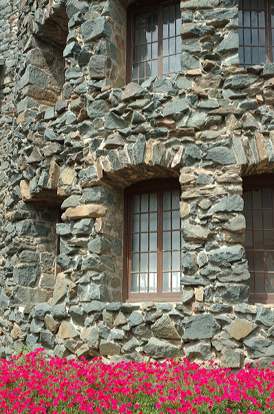 dsc_1303.jpg