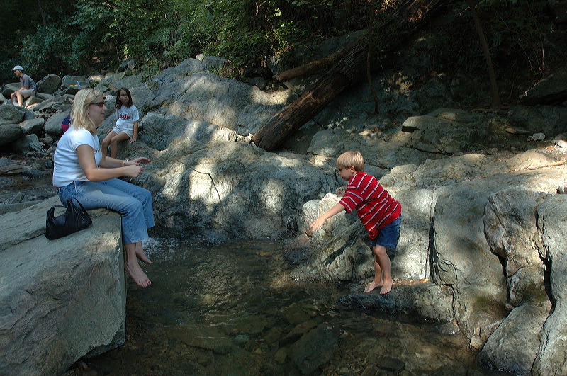 dsc_1355.jpg