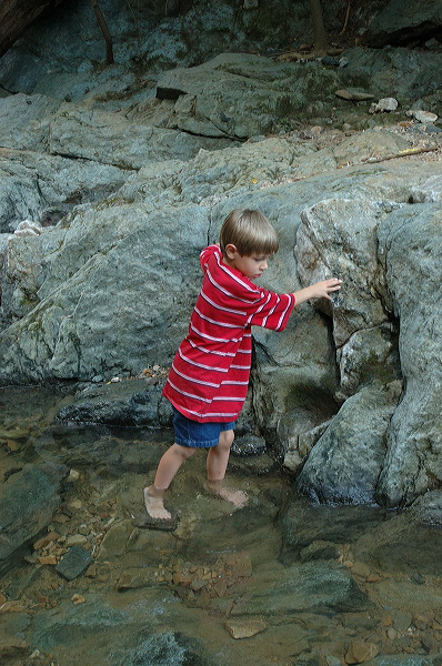 dsc_1357.jpg