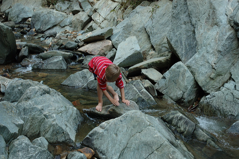 dsc_1371.jpg
