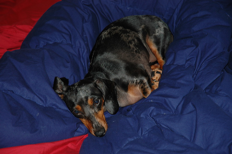 dsc_0663.jpg