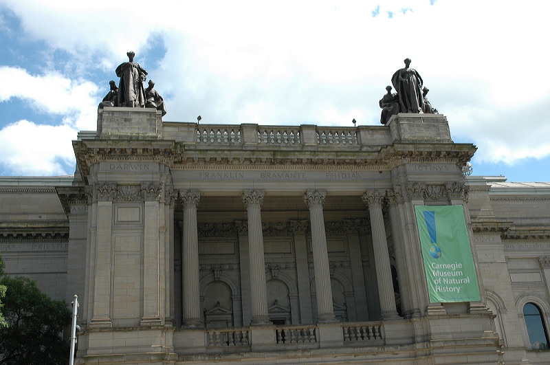 dsc_0674.jpg