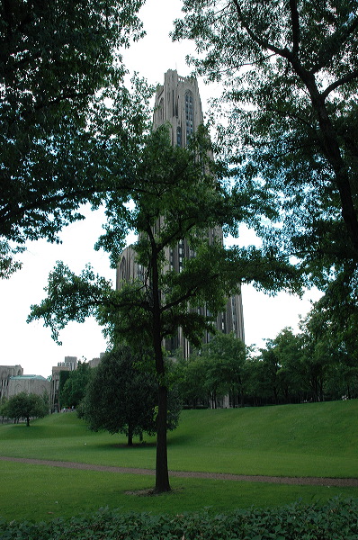 dsc_0678.jpg