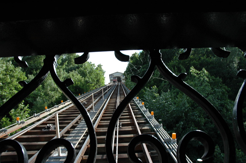 dsc_0684.jpg