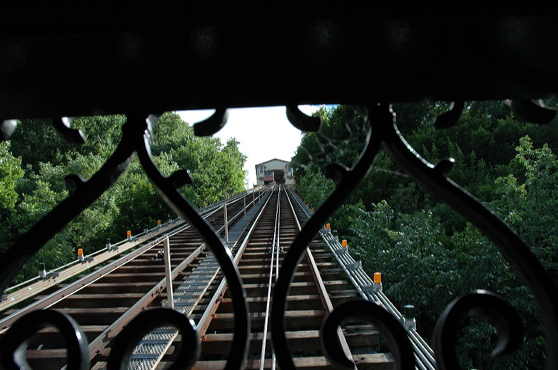 dsc_0685.jpg