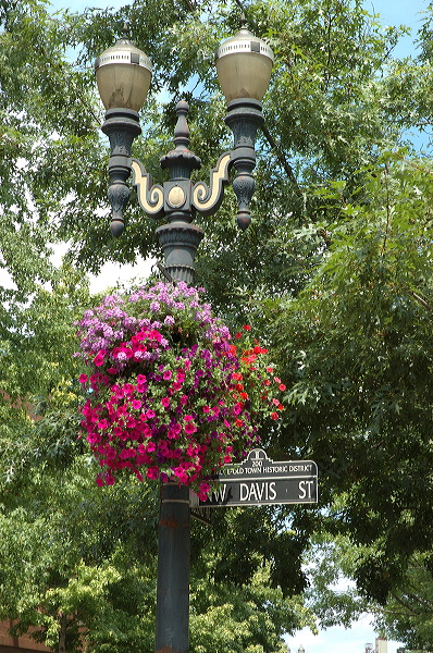 dsc_1224.jpg