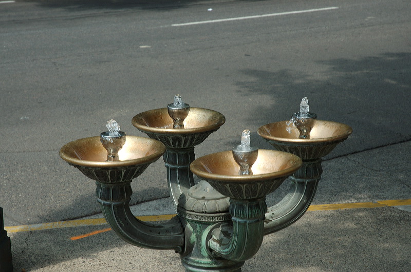 dsc_1226.jpg