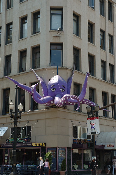 dsc_1244.jpg