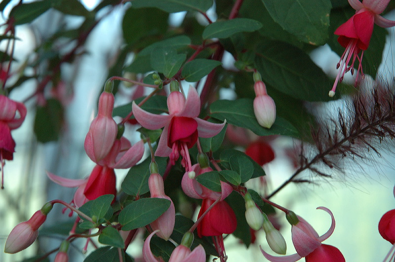 dsc_1283.jpg