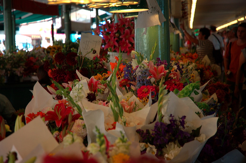 dsc_1059.jpg