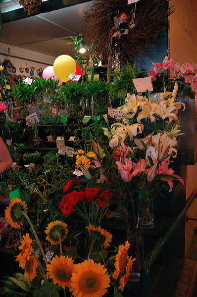 dsc_1104.jpg